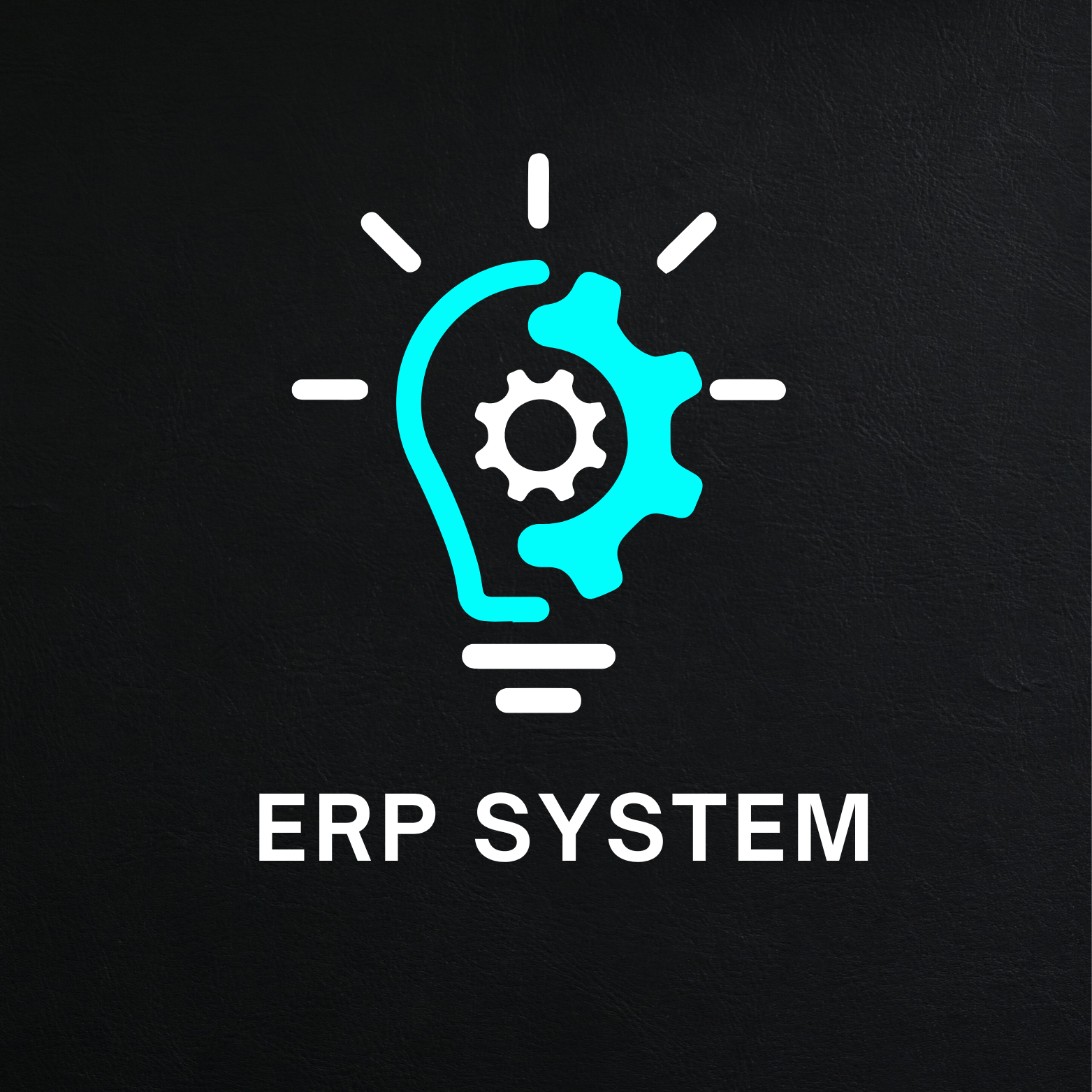 Custom ERP System